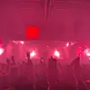 finn - @finn.green_ - TikTok