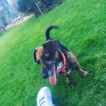 Finn - @finngreen_ - Instagram
