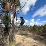 Finn Green - @finn_green01 - Instagram