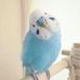 Fion Wu - Facebook