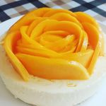 FION - @fionyip - Instagram