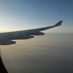 Fion Yip - @yip.fion - Instagram