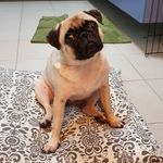 Fion Yip - @fionyipyip - Instagram