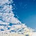 Fion Yip - Facebook