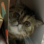 @fion_yip_ - Instagram