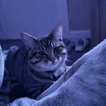 Fiona Allan - @fionaallan1639 - Instagram