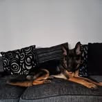 Fiona Allan - Facebook