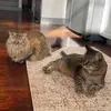 Fiona and Bandit - @fiona_and_bandit - TikTok