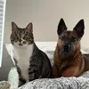 Zara | fiona | 💕🧘🏻‍♀️ 🐕 🐈 - @fionaandzee - TikTok