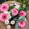 fionaandersen_ - @fionaandersen_ - TikTok