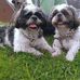 Fiona Arrowsmith - Facebook