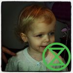 Fiona Atkinson - @fifibluesquares - Instagram