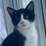 Fiona Atkinson - @mischife_pixie509_ - Instagram