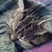 Fiona Atkinson - Facebook