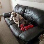 Fiona Baird - @fionabaird61 - Instagram