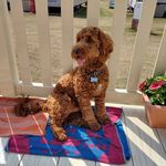 Fiona Baird - @fionabaird31 - Instagram