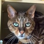 Fiona Baird - @fionabaird8 - Instagram
