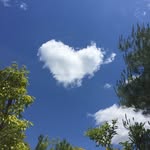 Fiona Banks - @kyoto_explorer - Instagram