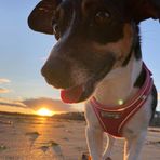 Fiona Barr - Facebook