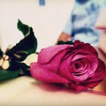 Fiona Barrett - @fionabarrettphotography - Instagram