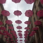 Fiona Barron - @dublinavocate - Instagram