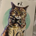 🌈🐱 Fiona and 🐱 Miss Bean - @purrfectly_fiona - Instagram