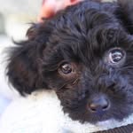 Fiona Bean - @fionabean_fl - Instagram