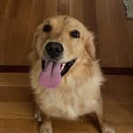 Fiona Bean Kerins - @fiona.bean7 - Instagram