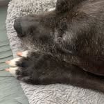 Fiona Bean Newkirk - @fionatheliquor - Instagram