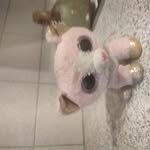 @fiona_beanie.boo25 - Instagram