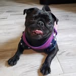 Fiona - @fiona__bean - Instagram