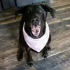 nona bean - @fiona.nona.bean - TikTok