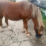 Fiona Berger Gaarn Thomsen - @fionabergergaarn - Instagram