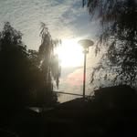 :-) ♥FIONA♥TÖNNVIK♥BFF♥ :-) - @fiona_best_bff - Instagram