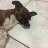 Fiona best - @nuna492008 - TikTok