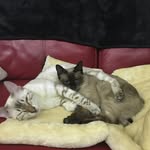 Fiona Sugden-Best - @sugdenbest - Instagram