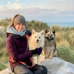 Fiona Bird - @fionabirddogtraining - Instagram