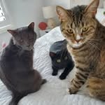Fiona Bird - @fionabird29 - Instagram