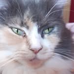 Fiona Bird - @fiona.bird.7982 - Instagram