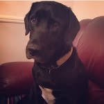 Fiona Bird - @fiona.bird.75 - Instagram