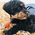 Fiona Bolton - @fionabolton - Instagram