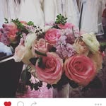 Fiona Bond - @fifib19 - Instagram