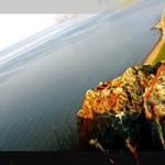 Fiona Bond - @fionabond5267 - Instagram