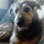 Fiona Bremner - @bremner_fiona - Instagram
