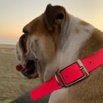 Fɪᴏɴᴀ - @fionabriceno_ - Instagram