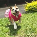 Fιoɴα Brιceño - @fionabriceno18 - Instagram