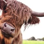 fiona brophy - @middle_age_rollercoaster - Instagram