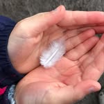 Fiona Browning - @fiona.browning.54 - Instagram