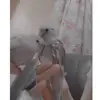 bruno_and_fiona - @bruno_and_fiona - TikTok