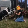 Fiona & Bruno♡❤ - @fiona.dog_bruno - TikTok